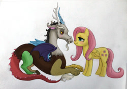 Size: 900x632 | Tagged: safe, artist:theashlynator, discord, fluttershy, pegasus, pony, discoshy, female, male, shipping, straight