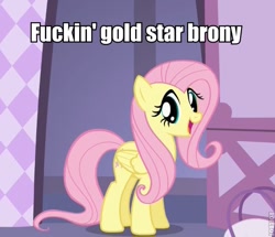 Size: 557x480 | Tagged: safe, screencap, fluttershy, pegasus, pony, image macro, meme, solo, vulgar