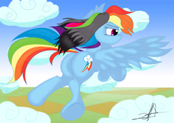 Size: 8178x5782 | Tagged: safe, artist:stormythetrooper, derpibooru import, rainbow dash, pegasus, pony, absurd resolution, cloud, flying, plot, solo