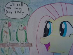 Size: 720x540 | Tagged: safe, artist:justaviewer94, fluttershy, parrot, pegasus, pony, female, mare, traditional art