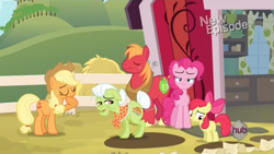 Size: 1023x575 | Tagged: safe, screencap, apple bloom, applejack, big macintosh, granny smith, pinkie pie, earth pony, pony, pinkie apple pie, male, stallion