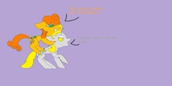 Size: 497x251 | Tagged: safe, carrot top, derpy hooves, golden harvest, pegasus, pony, female, mare, not porn, stuck together, unreadable text