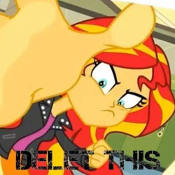 Size: 395x395 | Tagged: safe, edit, edited screencap, screencap, sunset shimmer, better together, equestria girls, forgotten friendship, caption, delet this, female, image macro, meme, solo