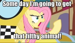 Size: 630x361 | Tagged: safe, edit, edited screencap, screencap, fluttershy, pegasus, pony, putting your hoof down, bigfoot, cinema snob, image macro, meme, middle finger, solo, text edit, the geek