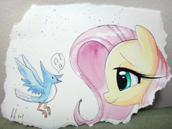 Size: 1200x900 | Tagged: safe, artist:prettypinkpony, fluttershy, bird, pegasus, pony, head, solo, traditional art