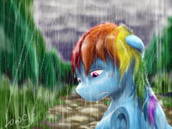 Size: 2048x1536 | Tagged: safe, artist:lowelf, derpibooru import, rainbow dash, pegasus, pony, female, floppy ears, forest, frog (hoof), mare, rain, road, solo, underhoof, wet mane