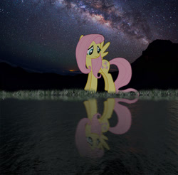 Size: 1600x1573 | Tagged: safe, artist:saboro44, fluttershy, pegasus, pony, night, photoshop, reflection, solo, stars