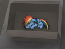 Size: 800x600 | Tagged: safe, artist:dawnmistpony, derpibooru import, rainbow dash, pegasus, pony, fanfic:my little dashie, cardboard box, filly