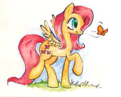 Size: 727x583 | Tagged: safe, artist:mapony240, fluttershy, butterfly, pegasus, pony, solo, traditional art