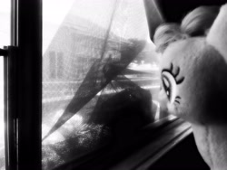Size: 2560x1920 | Tagged: safe, artist:crucifythewolf, pinkie pie, black and white, grayscale, irl, monochrome, photo, photography, plushie, solo