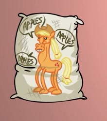 Size: 309x351 | Tagged: safe, artist:cybersp0nge, applejack, earth pony, pony, apple, body pillow, cropped