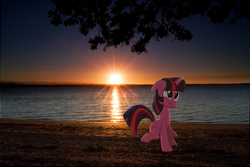 Size: 3456x2304 | Tagged: safe, derpibooru import, twilight sparkle, beach, irl, photo, ponies in real life, shadow, solo, sun, sunset