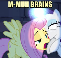 Size: 374x351 | Tagged: safe, fluttershy, rarity, pegasus, pony, unicorn, faic, image macro, meme