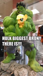 Size: 541x960 | Tagged: safe, applejack, earth pony, pony, fash'ems, image macro, marvel, the incredible hulk, toy