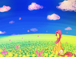 Size: 1200x900 | Tagged: safe, artist:lumineko, angel bunny, fluttershy, butterfly, pegasus, pony, field, looking up, sitting