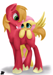 Size: 2480x3508 | Tagged: safe, artist:jayesixx, big macintosh, fluttershy, earth pony, pegasus, pony, blushing, fluttermac, male, shipping, stallion, straight