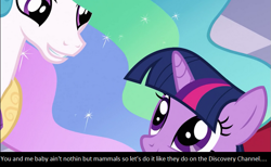 Size: 751x464 | Tagged: safe, edit, edited screencap, screencap, princess celestia, twilight sparkle, alicorn, pony, unicorn, the crystal empire, bloodhound gang, caption, female, innuendo, lesbian, mare, meta, molestation, shipping, song, the bad touch, twilestia