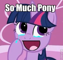 Size: 305x293 | Tagged: safe, derpibooru import, twilight sparkle, awesome face, crying, happy, image macro, so much pony, solo, tears of joy