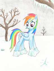 Size: 1231x1611 | Tagged: safe, artist:friendshipishorses, derpibooru import, rainbow dash, pegasus, pony, frozen, ice, newbie artist training grounds, solo, traditional art, tree, winter