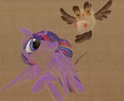 Size: 1004x820 | Tagged: safe, artist:getchanoodlewet, derpibooru import, owlowiscious, twilight sparkle, twilight sparkle (alicorn), alicorn, pony, female, mare, traditional art