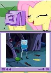 Size: 335x478 | Tagged: safe, fluttershy, pegasus, pony, adventure time, exploitable meme, finn the human, meme, obligatory pony, tv meme