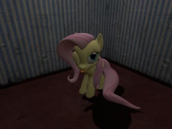 Size: 1024x768 | Tagged: safe, artist:funsketch, fluttershy, pegasus, pony, 3d, cute, gmod, looking at you, solo, tongue out, wink