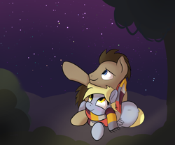 Size: 750x625 | Tagged: safe, artist:klemm, derpy hooves, doctor whooves, pegasus, pony, clothes, female, mare, newbie artist training grounds, night, scarf, stars