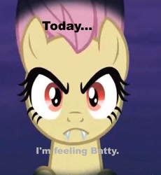 Size: 639x695 | Tagged: safe, fluttershy, flutterbat, image macro, meme, solo