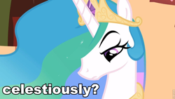 Size: 960x540 | Tagged: safe, screencap, princess celestia, alicorn, pony, image macro, meme, seriously, solo