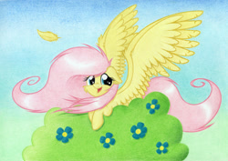 Size: 1920x1363 | Tagged: safe, artist:agamnentzar, fluttershy, pegasus, pony, bush, feather, flower, looking at you, smiling, solo, spread wings, traditional art, windswept mane