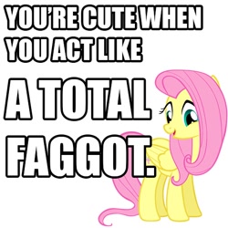 Size: 512x512 | Tagged: safe, fluttershy, pegasus, pony, image macro, meme, slur, solo, vulgar