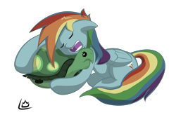 Size: 5974x4150 | Tagged: safe, artist:liracrown, derpibooru import, rainbow dash, tank, pegasus, pony, absurd resolution, cute, daaaaaaaaaaaw, sleeping, sweet dreams fuel