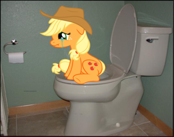 Size: 1024x808 | Tagged: safe, artist:navitaserussirus, applejack, but why, crying, irl, meme, photo, ponies in real life, potty, potty time, scrunchy face, solo, toilet