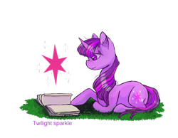 Size: 1024x794 | Tagged: safe, artist:crazy-luna, derpibooru import, twilight sparkle, book, solo