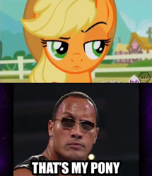 Size: 646x750 | Tagged: safe, applejack, earth pony, pony, three's a crowd, dwayne johnson, eyebrows, that's my pony, the rock, unconvinced applejack, wwe