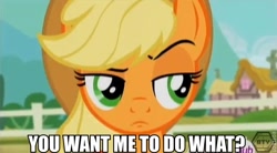 Size: 646x356 | Tagged: safe, applejack, earth pony, pony, three's a crowd, frown, image macro, meme, raised eyebrow, reaction image, solo, unamused, unconvinced applejack