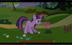 Size: 1280x800 | Tagged: safe, derpibooru import, screencap, twilight sparkle, magic, meme, solo, youtube, youtube caption