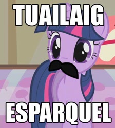 Size: 402x449 | Tagged: safe, derpibooru import, twilight sparkle, artifact, image macro, moustache, solo, spanish, text, tuailaig esparquel