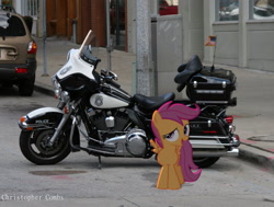 Size: 1278x966 | Tagged: safe, artist:digitalpheonix, artist:tamalesyatole, scootaloo, flag, glass, harley davidson, irl, motorcycle, photo, police, ponies in real life, shadow, solo, street, suv, vector