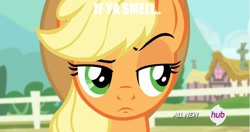 Size: 1920x1010 | Tagged: safe, applejack, earth pony, pony, three's a crowd, meme, raised eyebrow, solo, the rock, unconvinced applejack, wwe