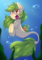 Size: 847x1200 | Tagged: safe, artist:tikrs007, oc, oc only, oc:green cracker, pony, seapony (g4), seaponified, solo, species swap, underwater