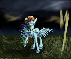 Size: 2376x1980 | Tagged: safe, artist:galopade, derpibooru import, rainbow dash, pegasus, pony, detailed background, female, mare, solo