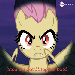 Size: 550x549 | Tagged: safe, fluttershy, flutterbat, hub logo, hub network, official, solo