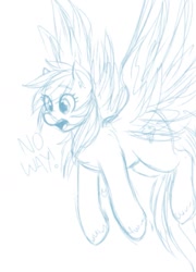 Size: 739x1027 | Tagged: artist needed, safe, derpibooru import, rainbow dash, pegasus, pony, /mlp/, 4chan, dialogue, drawthread, female, mare, monochrome, open mouth, simple background, sketch, solo, spread wings, unshorn fetlocks, white background, wings