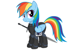 Size: 3000x2000 | Tagged: safe, artist:yognaughtsteve, derpibooru import, rainbow dash, pegasus, pony, fanfic:helljumpers, armor, fanfic art, simple background, solo, sword, transparent background, weapon