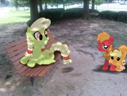 Size: 2592x1944 | Tagged: safe, artist:jennieoo, artist:kysss90, artist:tokkazutara1164, applejack, big macintosh, granny smith, earth pony, pony, babyjack, bench, bush, colt, diaper, fencing, filly, irl, male, photo, ponies in real life, stallion, tree, vector, young granny smith, younger