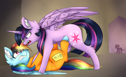 Size: 2269x1393 | Tagged: safe, artist:pinkdolphin147, derpibooru import, rainbow dash, twilight sparkle, twilight sparkle (alicorn), alicorn, pegasus, pony, b-f16, clothes, never doubt rainbowdash69's involvement, on back, prison outfit, prisoner, prisoner rd, pushing, tackle