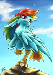 Size: 1280x1810 | Tagged: safe, artist:lovelyneckbeard, derpibooru import, rainbow dash, bird, birdified, fluffy, grin, harpy, harpydash, smiling, smirk, solo, species swap, tail feathers