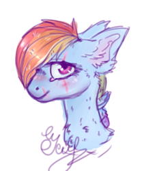 Size: 608x670 | Tagged: safe, artist:dashkatortik12222222, derpibooru import, rainbow dash, pegasus, pony, bust, ear fluff, portrait, scar, signature, simple background, solo, white background