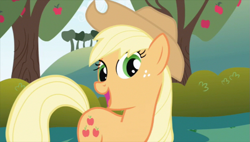 Size: 843x480 | Tagged: safe, screencap, applejack, earth pony, pony, friendship is magic, female, mare, solo